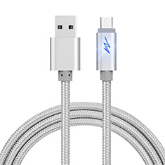 Cable USB 2.0 Android Universal A10 Plata