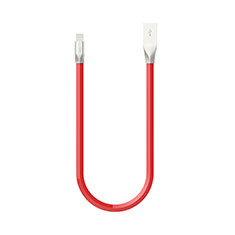 Cargador Cable USB Carga y Datos C06 para Apple iPad 10.2 (2020) Rojo