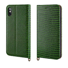 Funda de Cuero Cartera con Soporte Carcasa P03 para Apple iPhone Xs Verde