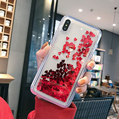 Funda Silicona Ultrafina Carcasa Transparente Flores T14 para Apple iPhone X Rojo