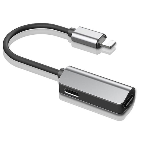 Cable Adaptador Lightning USB H01 para Apple iPhone 11 Pro Max Plata