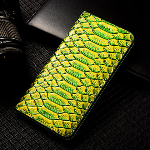 Funda de Cuero Cartera con Soporte Carcasa H25P para Apple iPhone 12 Pro Max Verde