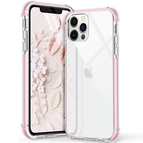 Funda Silicona Ultrafina Carcasa Transparente S02 para Apple iPhone 12 Pro Rosa