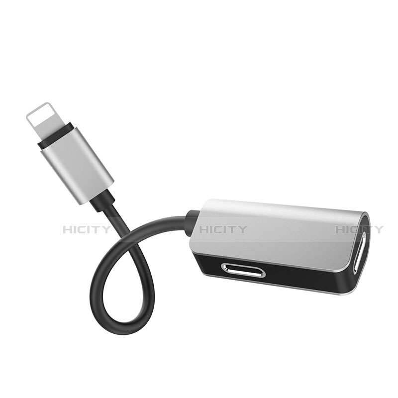 Cable Adaptador Lightning USB H01 para Apple iPad 10.2 (2020)