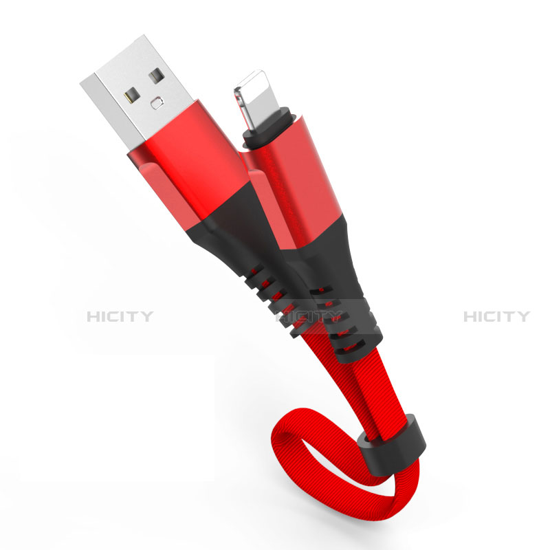 Cargador Cable USB Carga y Datos 30cm S04 para Apple iPad 3 Rojo
