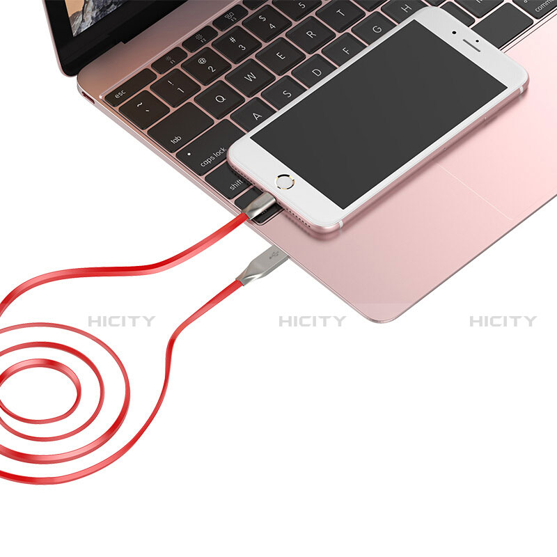 Cargador Cable USB Carga y Datos C05 para Apple iPad 10.2 (2020)