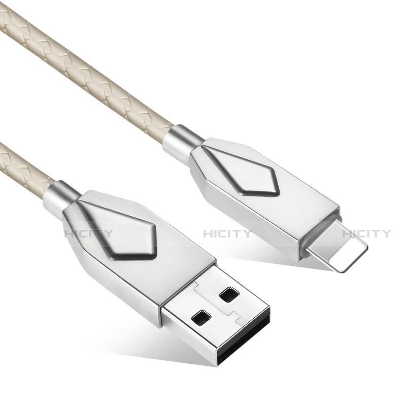 Cargador Cable USB Carga y Datos D13 para Apple iPad 10.2 (2020) Plata