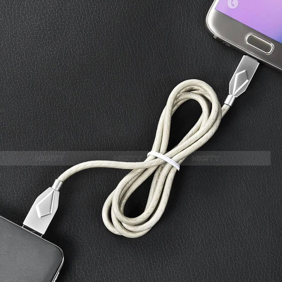 Cargador Cable USB Carga y Datos D13 para Apple iPhone X Plata