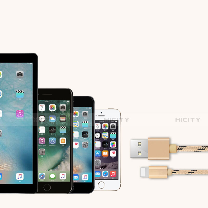 Cargador Cable USB Carga y Datos L05 para Apple iPhone SE (2020) Oro