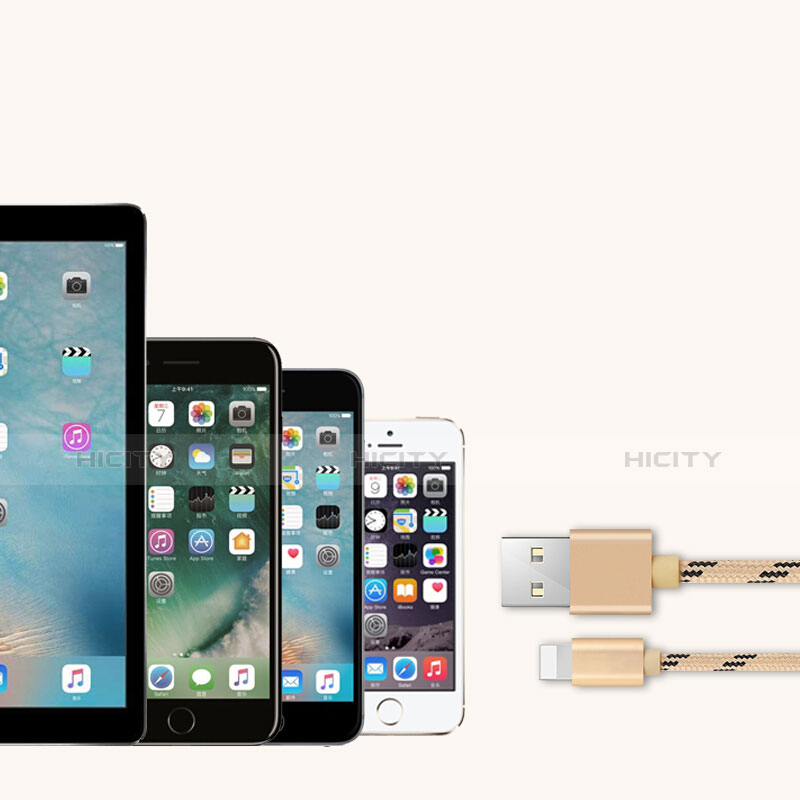 Cargador Cable USB Carga y Datos L05 para Apple iPhone Xs Oro