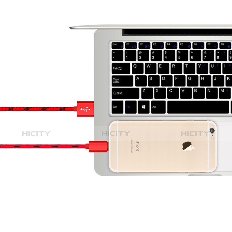 Cargador Cable USB Carga y Datos L10 para Apple iPad Pro 12.9 (2020) Rojo